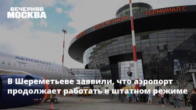 В Шереметьеве заявили, что аэропорт продолжает работать в штатном режиме