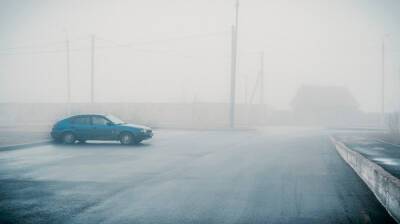 В Воронежской области объявили жёлтый уровень погодной опасности из-за густого тумана