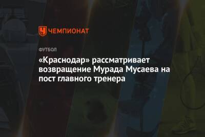 «Краснодар» рассматривает возвращение Мурада Мусаева на пост главного тренера