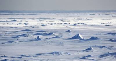 В Антарктиде температура воздуха на 40 градусов превысила норму — это новый абсолютный рекорд