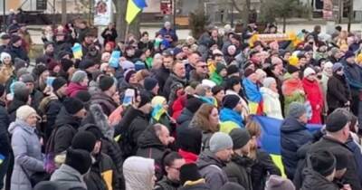 В Бердянске люди вышли против оккупации: их стали избивать и задерживать (ВИДЕО)