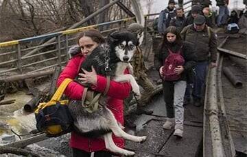 Из-за войны России против Украины свои дома покинули 10 млн украинцев