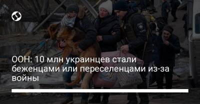 Филиппо Гранди - ООН: 10 млн украинцев стали беженцами или переселенцами из-за войны - liga.net - Украина