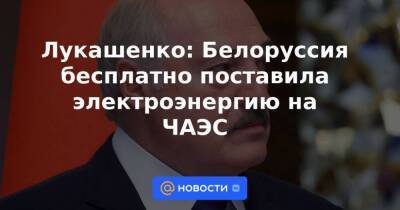 Лукашенко: Белоруссия бесплатно поставила электроэнергию на ЧАЭС