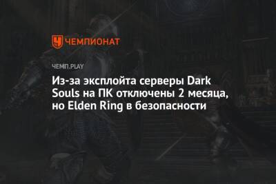 Из-за эксплойта серверы Dark Souls на ПК отключены 2 месяца, но Elden Ring в безопасности - championat.com