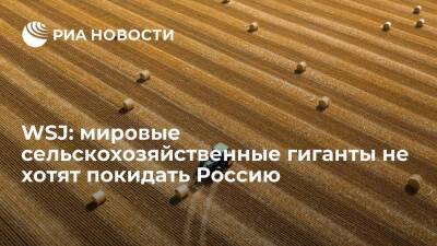 WSJ: сельскохозяйственные гиганты не хотят покидать Россию, несмотря на давление Запада