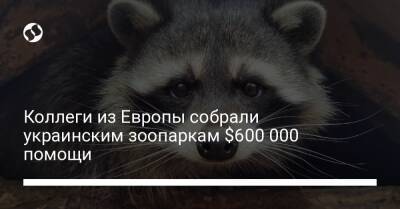Коллеги из Европы собрали украинским зоопаркам $600 000 помощи