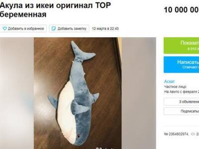 Беременную акулу из IKEA продают за 10 млн рублей в Новосибирске