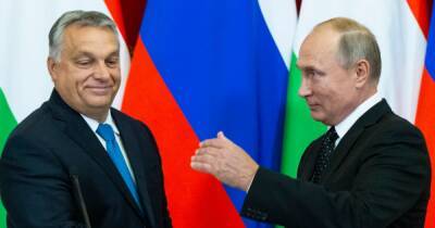 "Напрасно надеетесь": МИД отреагировал на попытки Венгрии "задобрить" Россию