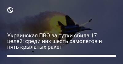 Украинская ПВО за сутки сбила 17 целей: среди них шесть самолетов и пять крылатых ракет
