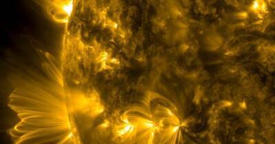 Оптические иллюзии на Солнце: эпичные корональные петли на звезде завели ученых в тупик