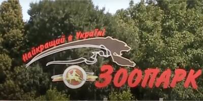 Четвероногие жертвы. Как украинские зоопарки переживают российское вторжение — видео