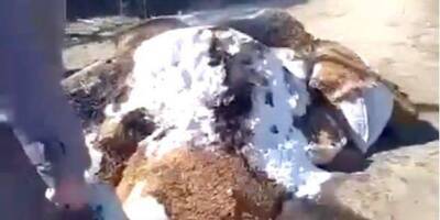В Чернобаевке местные жители сожгли «гумпомощь» от РФ — видео