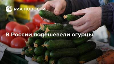 Росстат: в России с 12 по 18 марта огурцы подешевели на 6,63%