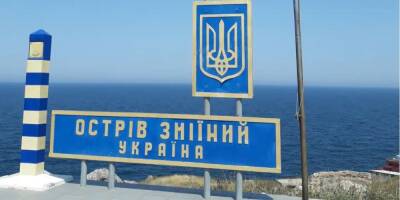 Украина надеется в ближайшее время вернуть пленных военных с острова Змеиный — Верещук