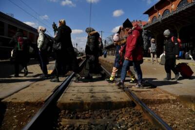 Украинские беженцы за границей смогут получать социальные выплаты и пенсии