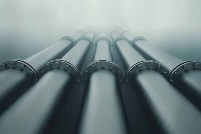 Промышленность Австрии выступила против отказа от поставок газа и нефти из РФ