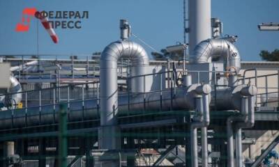 Германия и Бельгия отреагировали на продажу российского газа за рубли