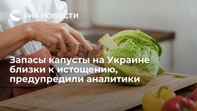 Платформа EastFruit зафиксировала рост цен на капусту и истощение ее запасов на Украине