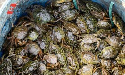 США отложили запрет на ввоз морепродуктов из России на три месяца