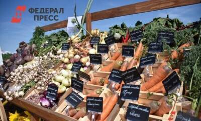 «Не могу назвать ни одного российского сорта»: как свердловские овощи зависят от импорта