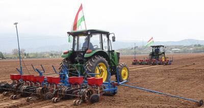 В этом году таджикские земледельцы посеют хлопок на площади 186 тысяч гектаров