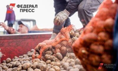 Новосибирцам в условиях санкций предлагают сажать картошку