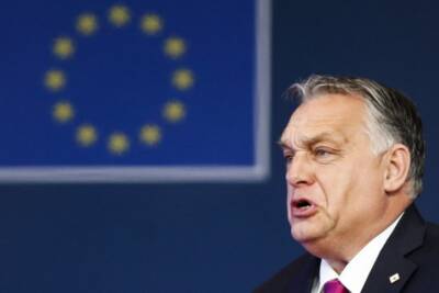 Зеленский предложил Орбану определиться: поддерживает ли он массовые убийства