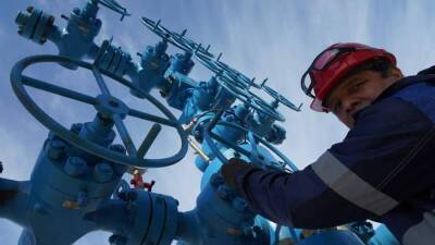 В Совбезе поставили под сомнение слова Европы об отказе от российского газа