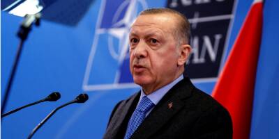 Переговоры Украины и России: Эрдоган назвал «умным руководством» идею Зеленского о проведении референдума — СМИ