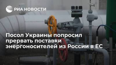 Посол Украины Мельник попросил на месяц прервать поставки энергоносителей из России в ЕС