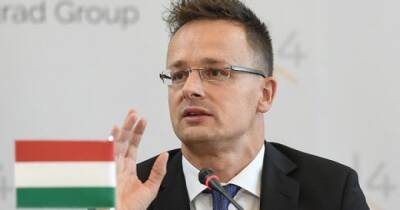 В Венгрии отвергли призыв Зеленского по поводу поставок оружия и отказа от российского газа
