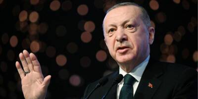 Эрдоган заявил, что в ближайшее время проведет встречи с Путиным и Зеленским
