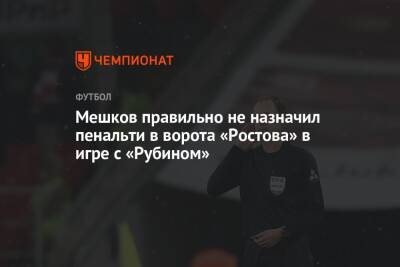 Мешков правильно не назначил пенальти в ворота «Ростова» в игре с «Рубином»