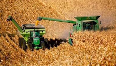 Кабмин отменил лицензирование экспорта кукурузы и подсолнечного масла