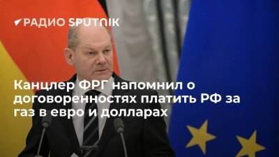 Канцлер ФРГ Шольц заявил, что договоры с РФ о поставках газа предусматривают оплату в евро или долларах