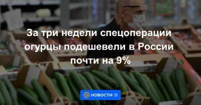 За три недели спецоперации огурцы подешевели в России почти на 9%
