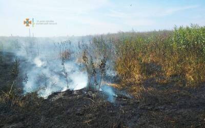 На Харьковщине возникло 33 пожара в экосистемах, есть погибший