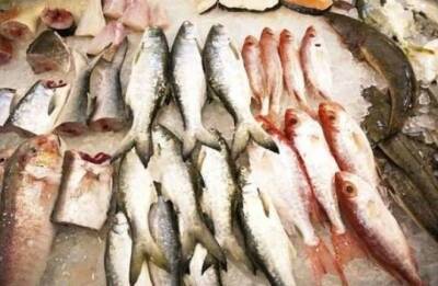13 видов рыбы, которые нельзя есть