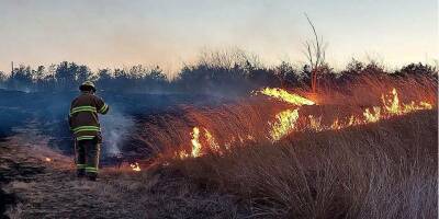 В Одесской области поджигатели уничтожили почти 120 гектаров экосистем — ГСЧС