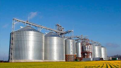В Украине остались запасы экспортного зерна на 7,5 млрд долларов, - Минагрополитики