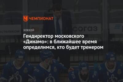 Гендиректор московского «Динамо»: в ближайшее время определимся, кто будет тренером