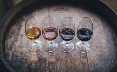 Вино для ужина: важные советы и практичные рекомендации