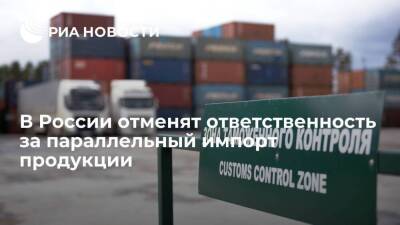 В России отменят ответственность за ввоз товаров без разрешения правообладателя