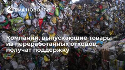 В России компании, выпускающие товары из переработанных отходов, получат господдержку