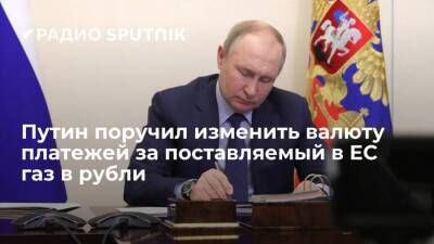 Путин поручил кабмину, ЦБ и "Газпрому" изменить валюту платежей за газ для стран ЕС в рубли