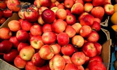 Эксперт о ситуации с яблоками: «Оборудование для сортировки полностью импортное»