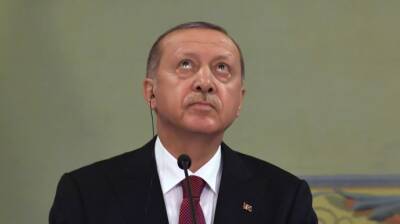 У Эрдогана считают прихоти РФ относительно ОРДЛО и Крыма невыполнимыми