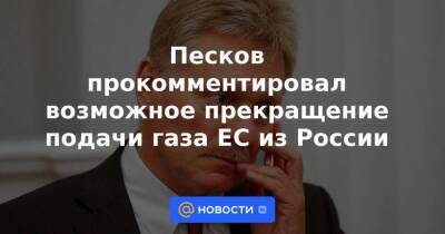 Песков прокомментировал возможное прекращение подачи газа ЕС из России