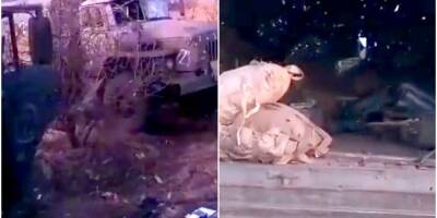 «Негде ни поспать, ни погреться»: ВСУ ударили по позициям оккупантов, уничтожив их технику — видео